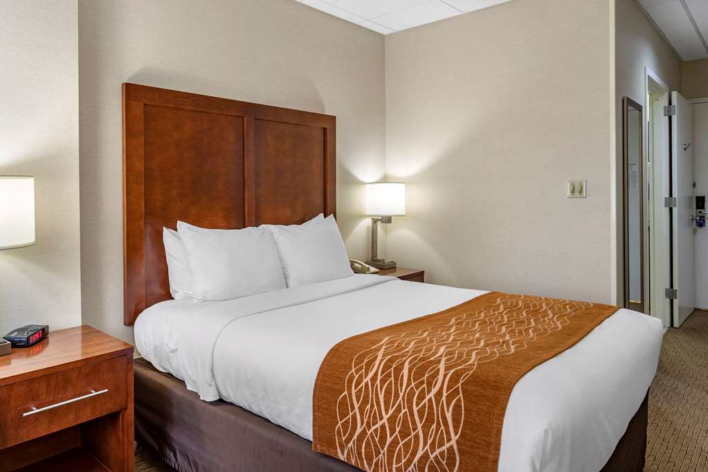Comfort Inn Syosset Long Island - photo 22