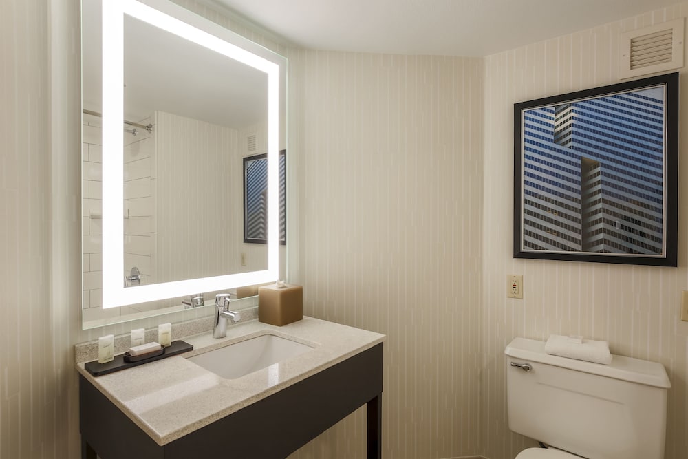 Embassy Suites by Hilton Dallas Love Field - photo 22