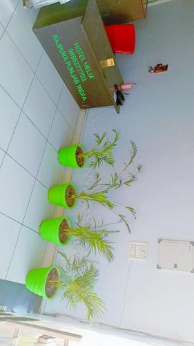 Hotel Helix Rajpura Budget Rooms For Family Couples Solo Travellers