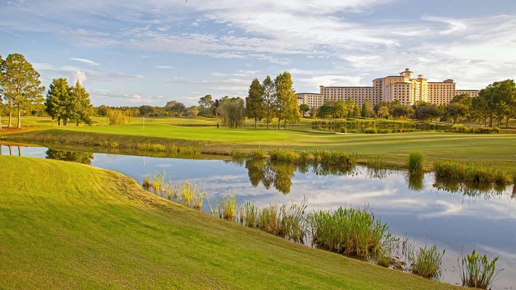 Rosen Shingle Creek - photo 94