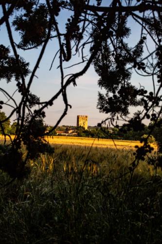 Torre Dei Battagli Dormi in Una Torre Medievale — hotel in Santarcangelo