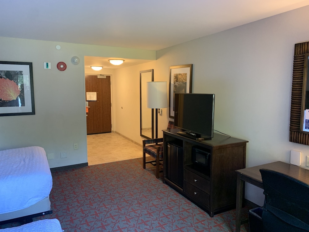 Hampton Inn & Suites Lake Placid - photo 6