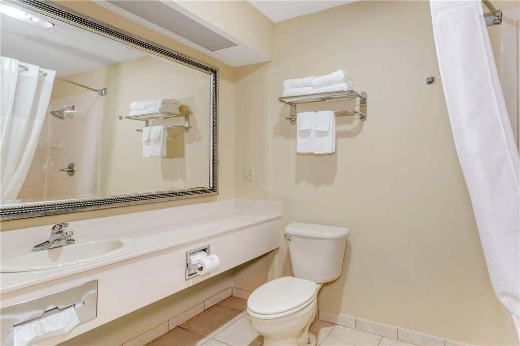 Quality Inn Eureka Springs South - photo 70