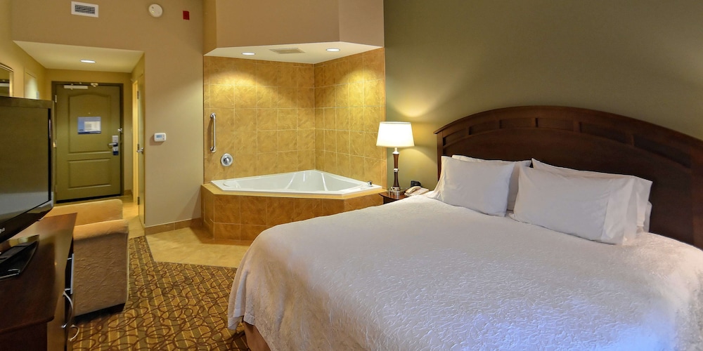 Hampton Inn Geneseo - photo 15