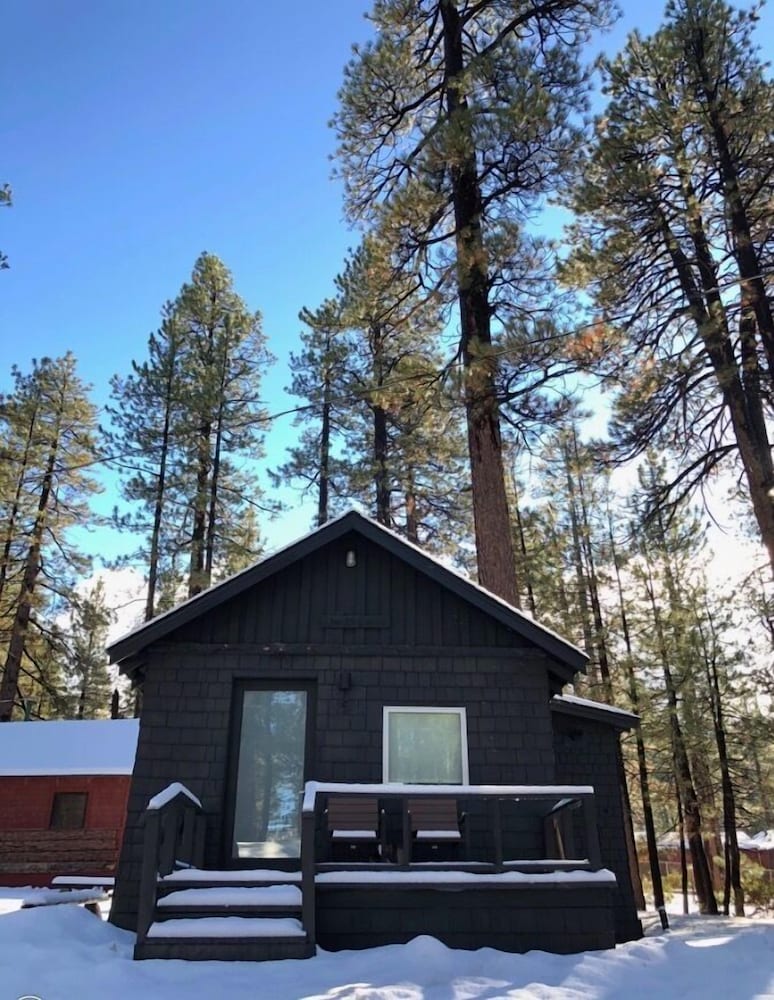 Colorado Lodge - photo 6