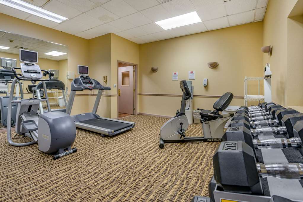 Econo Lodge Inn & Suites Triadelphia Wheeling - photo 27
