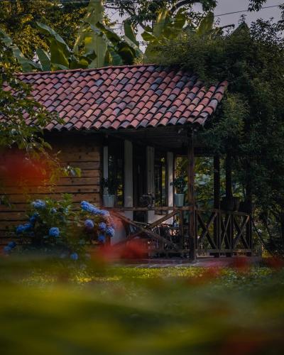 Menabde Winery in Ozurgeti, Georgia