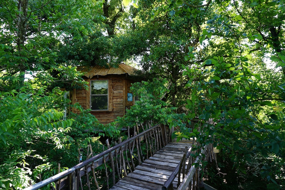 Savannah's Meadow - photo 7