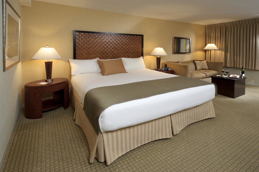 Skyline Hotel - photo 19