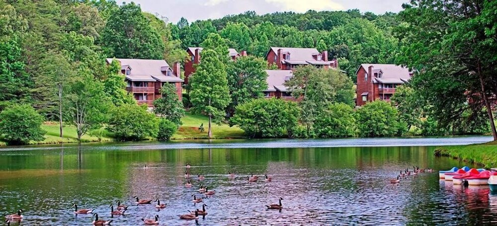 Country Hideaway at Mountain Lakes - photo 65