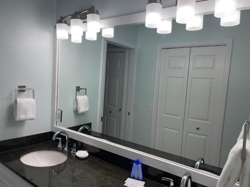 Coastal Kiwi in Navarre, United States