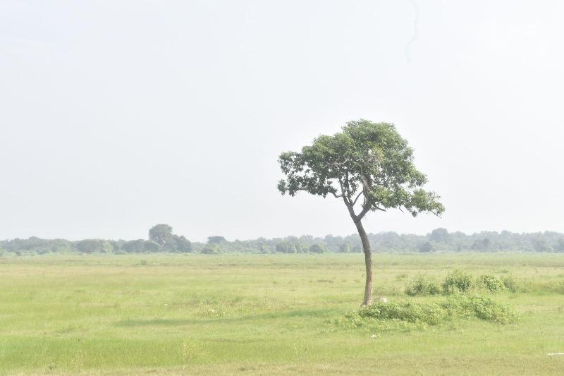 Lake Monark Resort in Anuradhapura, Sri Lanka