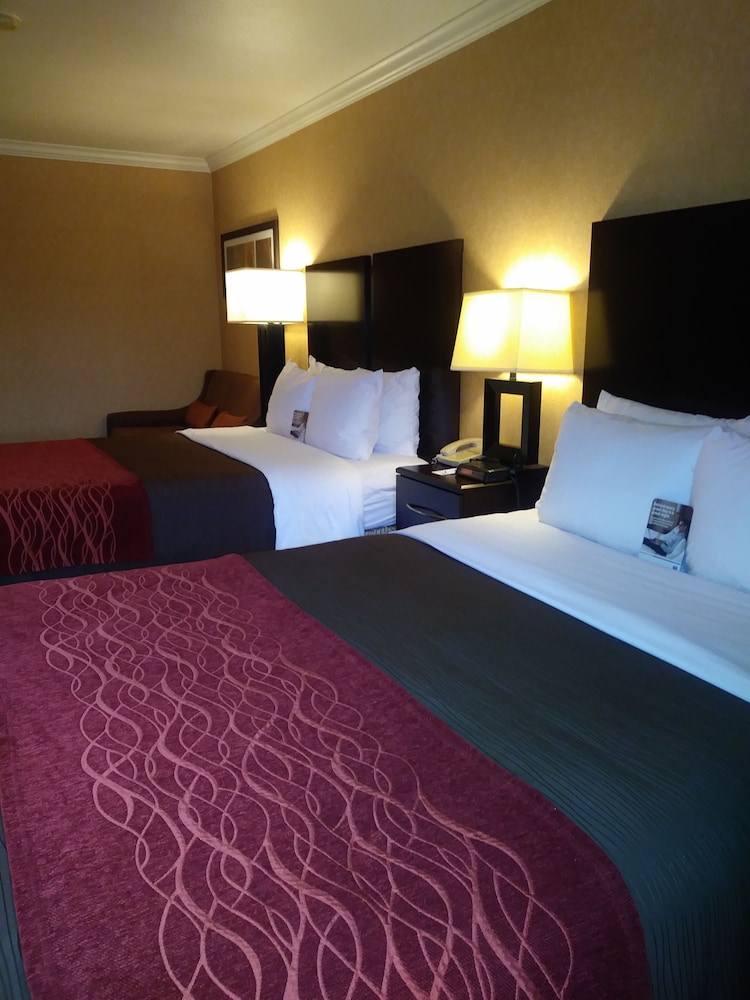 Comfort Inn Columbia Gorge - photo 4