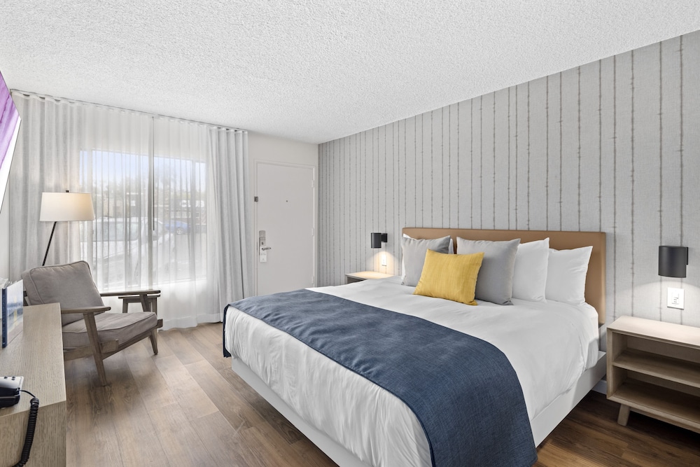 Sea Harbor Hotel - photo 32