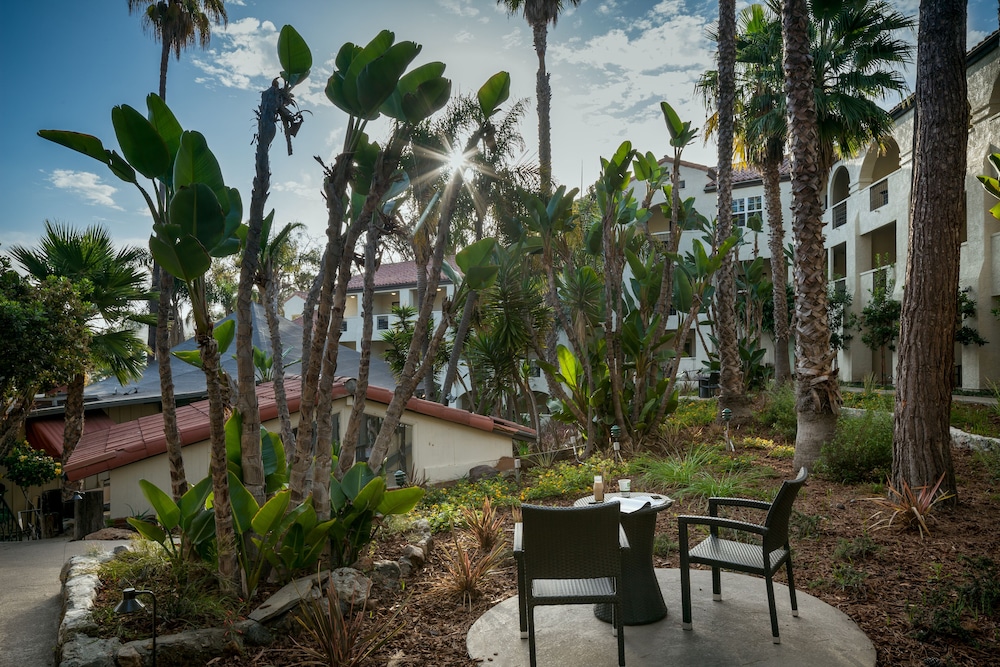 Catalina Canyon Inn - photo 31