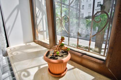 Apartment Anano