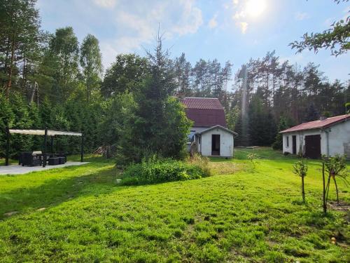 Leśne Studio - carbon neutral hotel in Unknown City