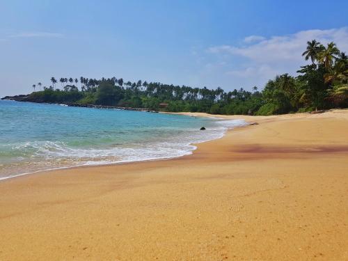 The Nest - last minute hotel in Tangalle