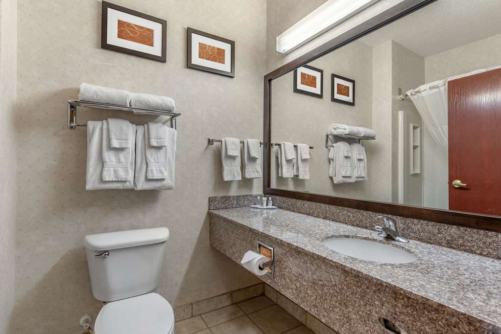 Comfort Suites Castle Rock - photo 13