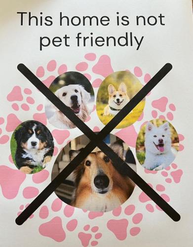 Robe Beach Stays — carbon neutral stay, Robe