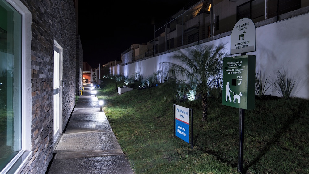 Pet-friendly amenities