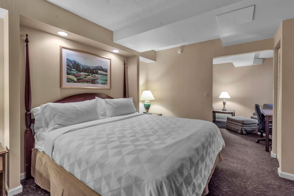 Buffalo Airport Hotel - photo 13