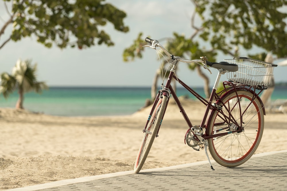 Kimpton Hotel Palomar South Beach by IHG - photo 35