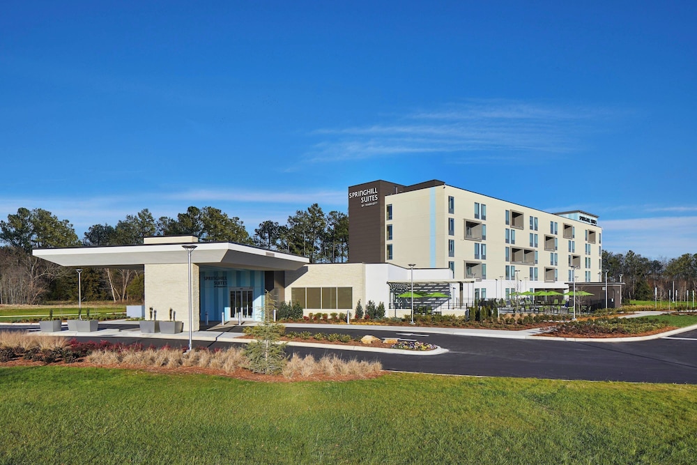 SpringHill Suites by Marriott Charlotte at Carowinds - photo 31