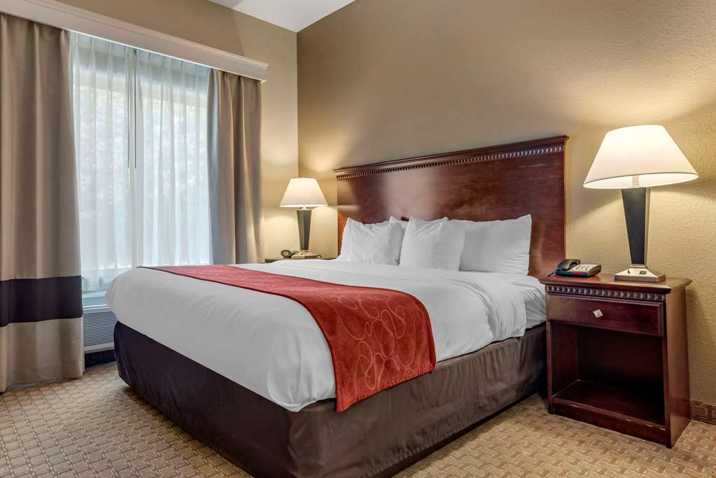Comfort Suites Biloxi Ocean Springs - photo 7