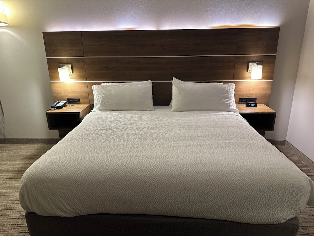Holiday Inn Express and Suites Macon North - photo 13