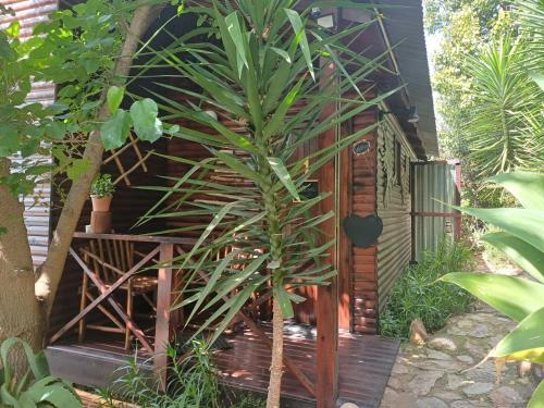 Owl's Den 1 — 4-Star Luxury Hotel in Oudtshoorn, South Africa