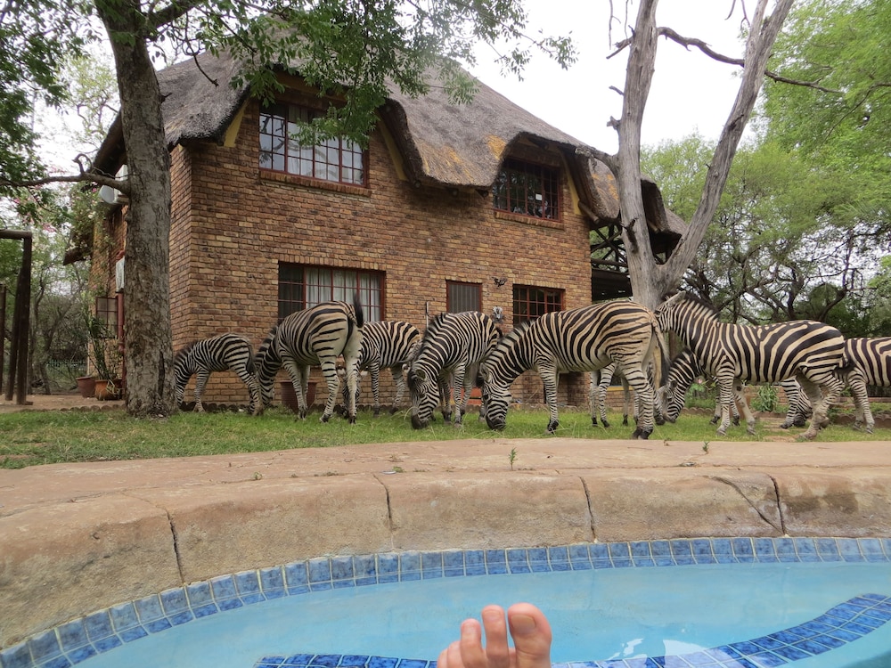 Rafiki’s Resthouse in Komatipoort, South Africa