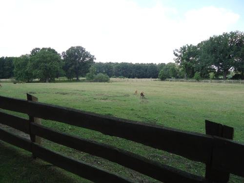 Landhotel Rosenhof in Plau Am See, Germany