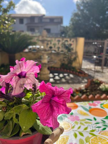 Nonna Ciccina s House — 4-Star Luxury Hotel in Vita, Italy