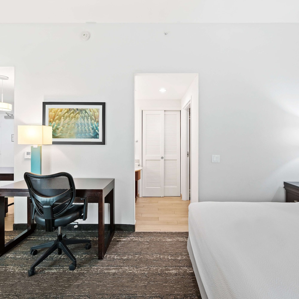 Homewood Suites by Hilton Ft. Lauderdale Airport Cruise Port - photo 15