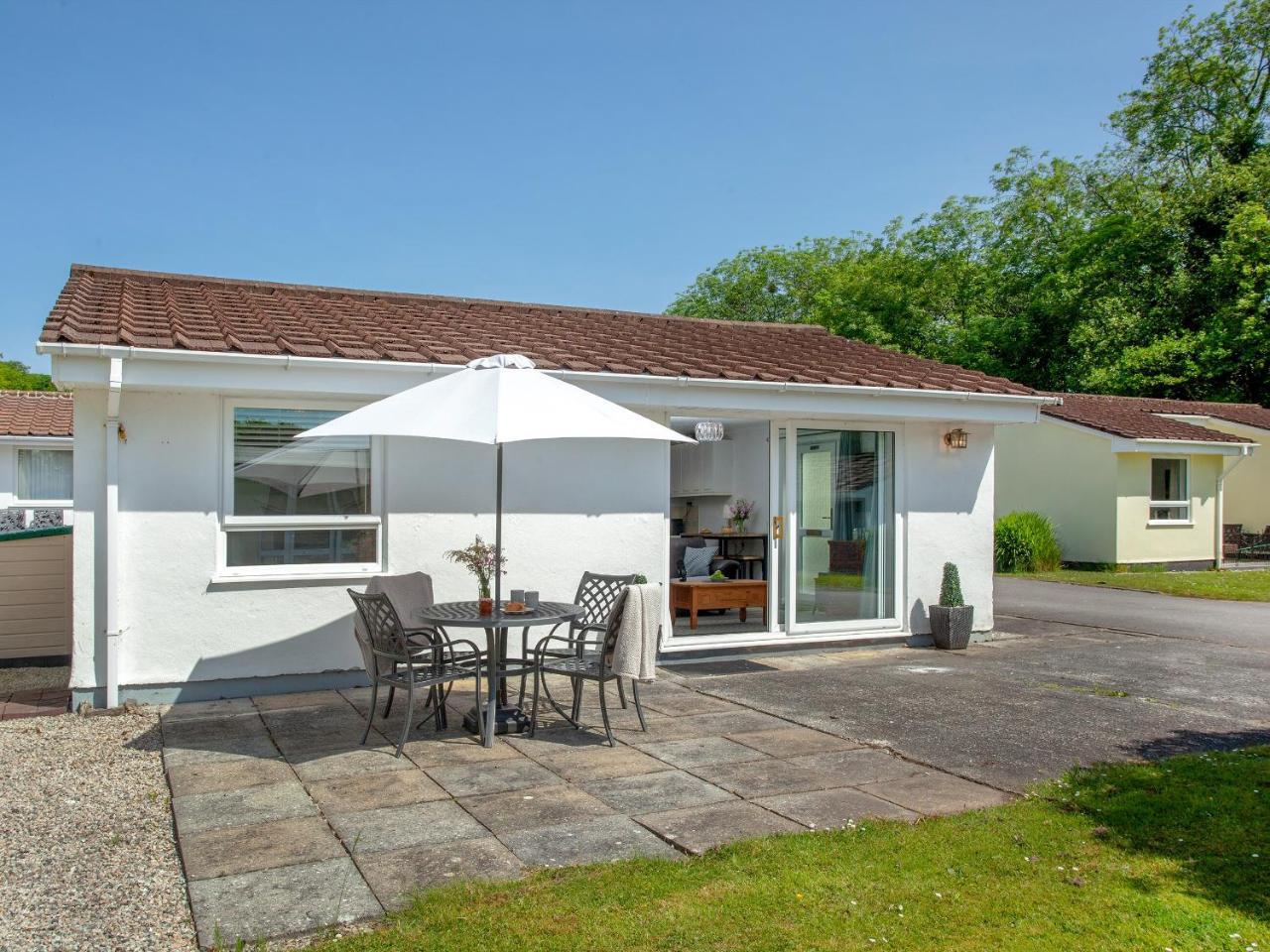 Squirrels Leap in Liskeard, United Kingdom