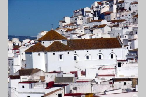 Beautiful Duplex with a Patio — hotel in Alcala De Los Gazules