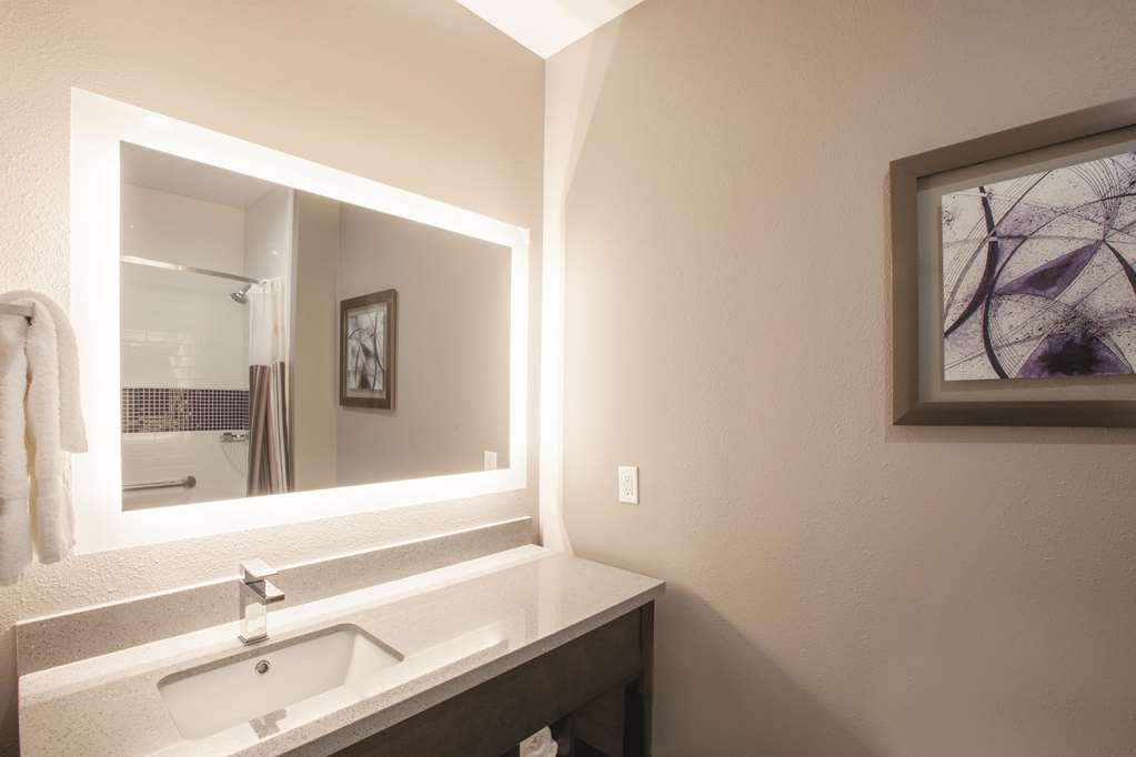 La Quinta Inn & Suites by Wyndham Kingsville - photo 10