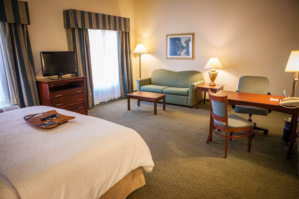 Hampton Inn & Suites Springfield Southwest - photo 12