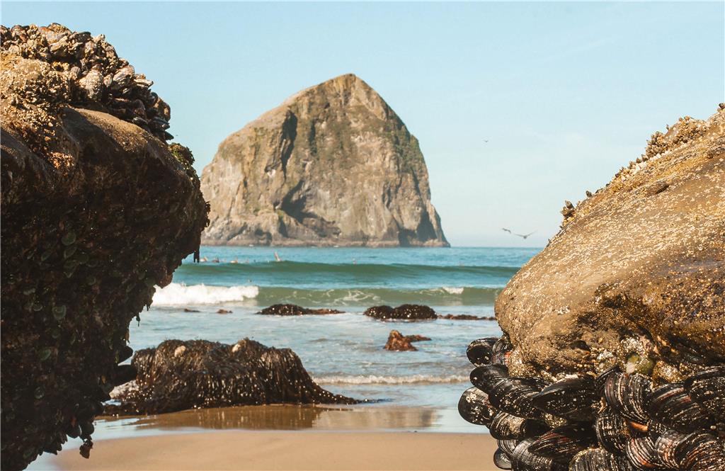 Inn at Cape Kiwanda - photo 8