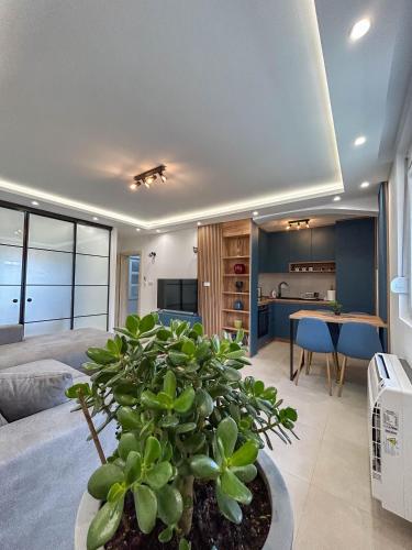 Sunrise Apartment — 4-Star Luxury Hotel in Kotor, Montenegro