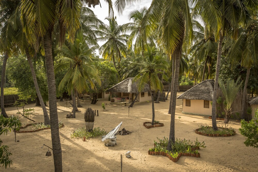 Cocodance Kitesurfing Resort in Puttalam, Sri Lanka