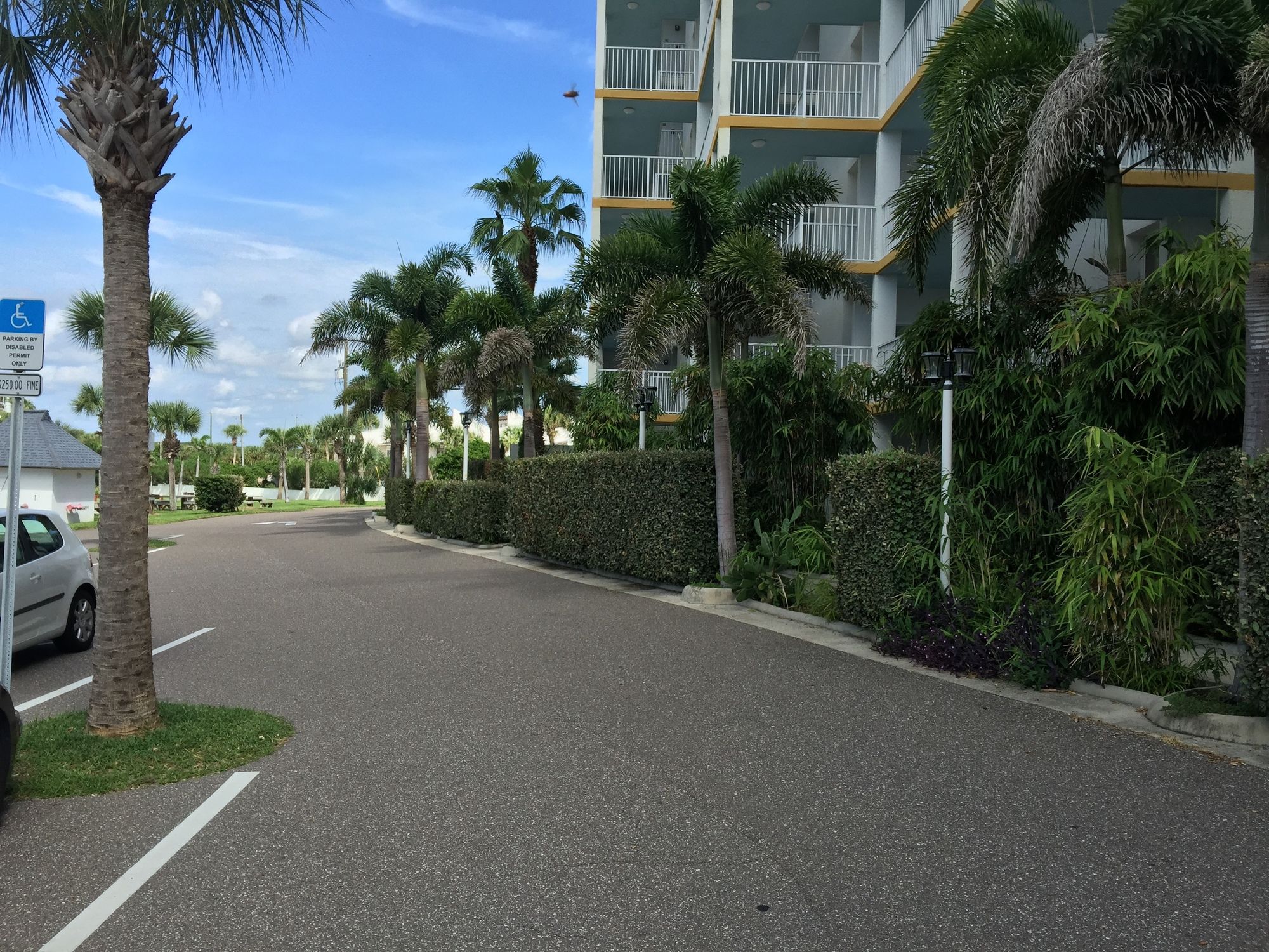 Smyrna Beach Club - photo 25
