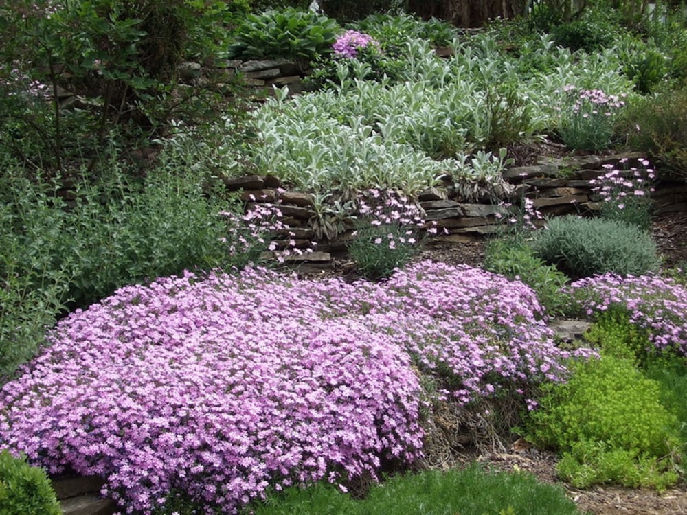Abbington Green Bed & Breakfast Inn - photo 105