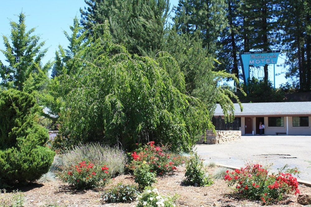 Mother Lode Motel - photo 33