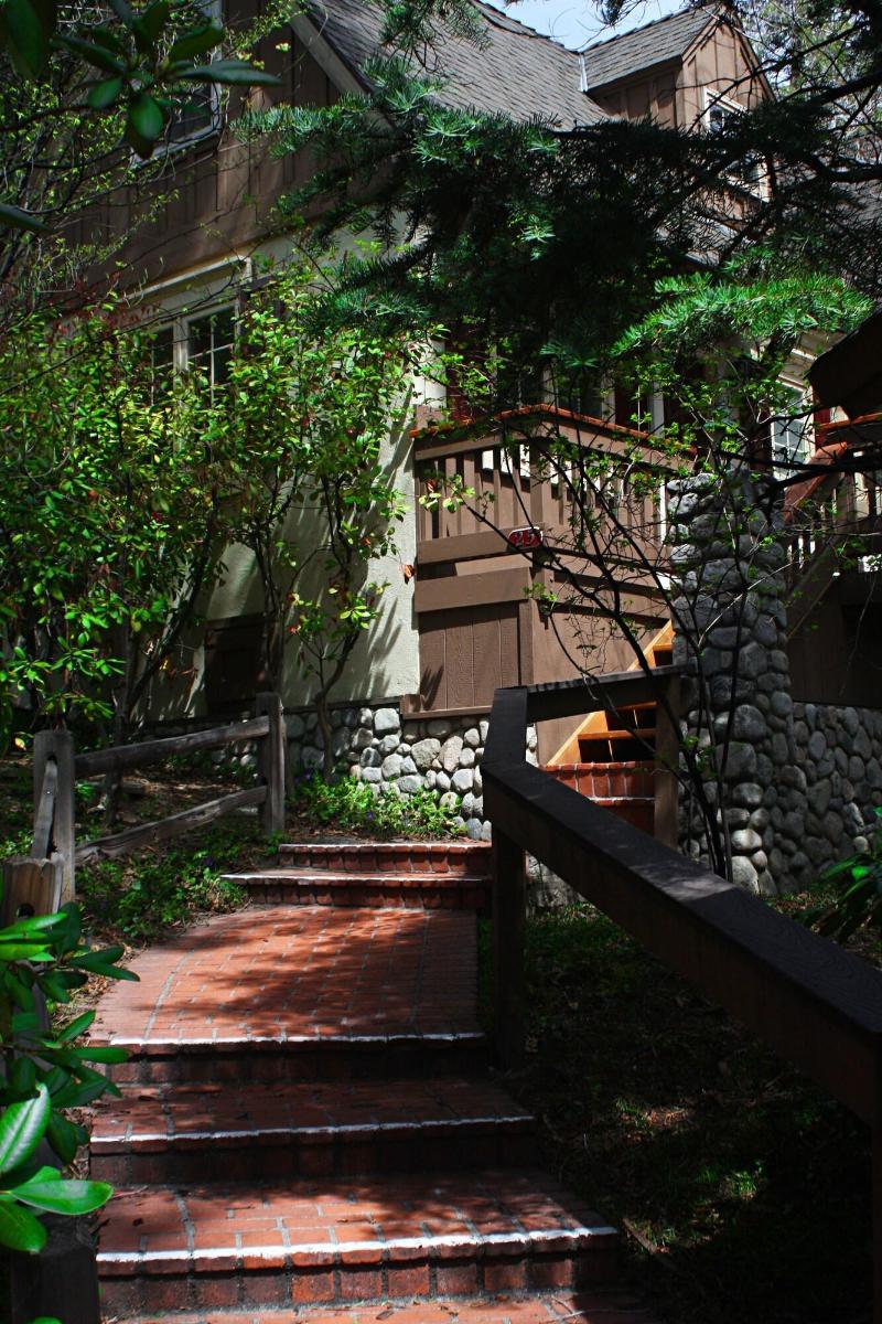 Saddleback Inn at Lake Arrowhead - photo 2