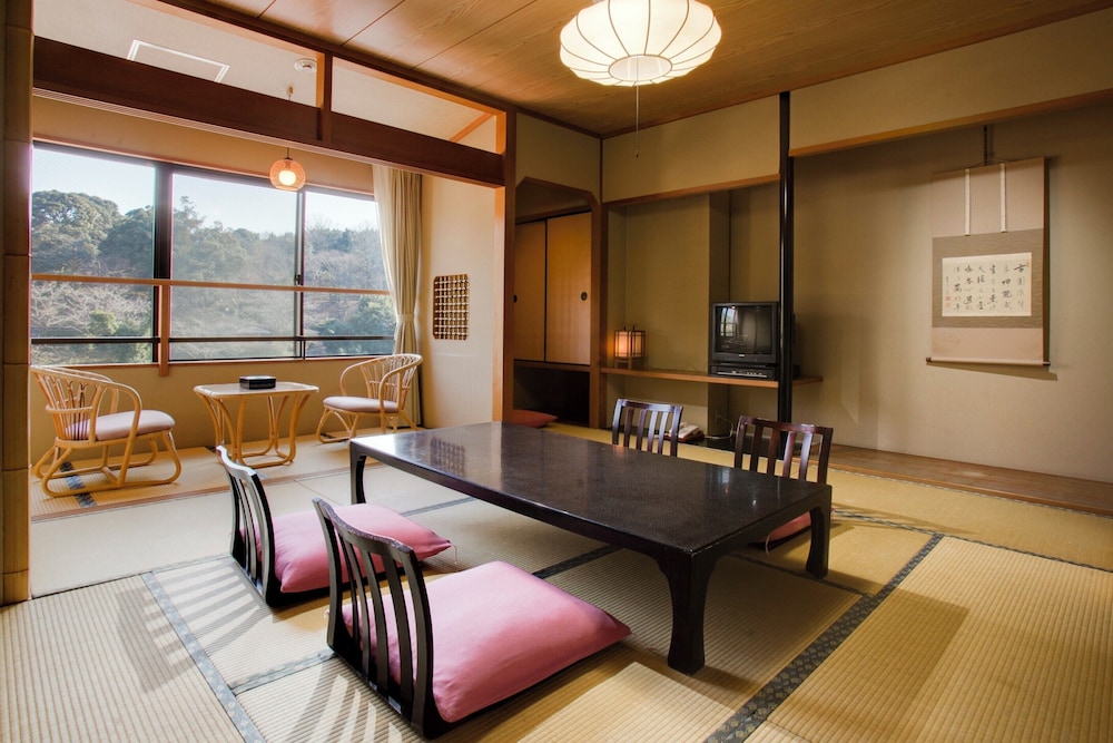 Ryotei Yamanoi — Matsue — photo 4