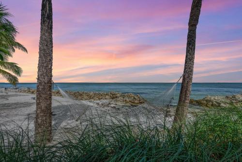 Dolphin Tales 836 S Bay — Anna Maria — photo 5