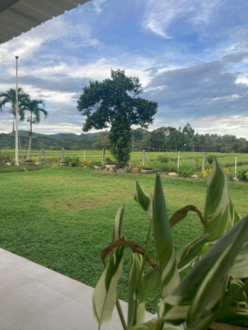 The Eliana Farm Resort And Villas — Manolo Fortich