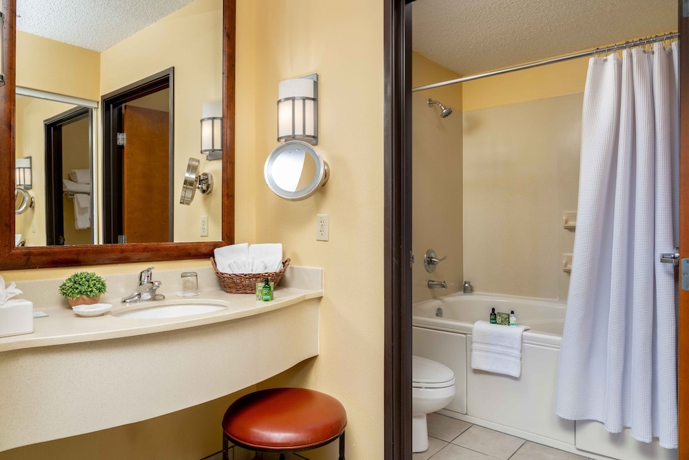 MCM Elegante Lodge & Suites Ruidoso - photo 17